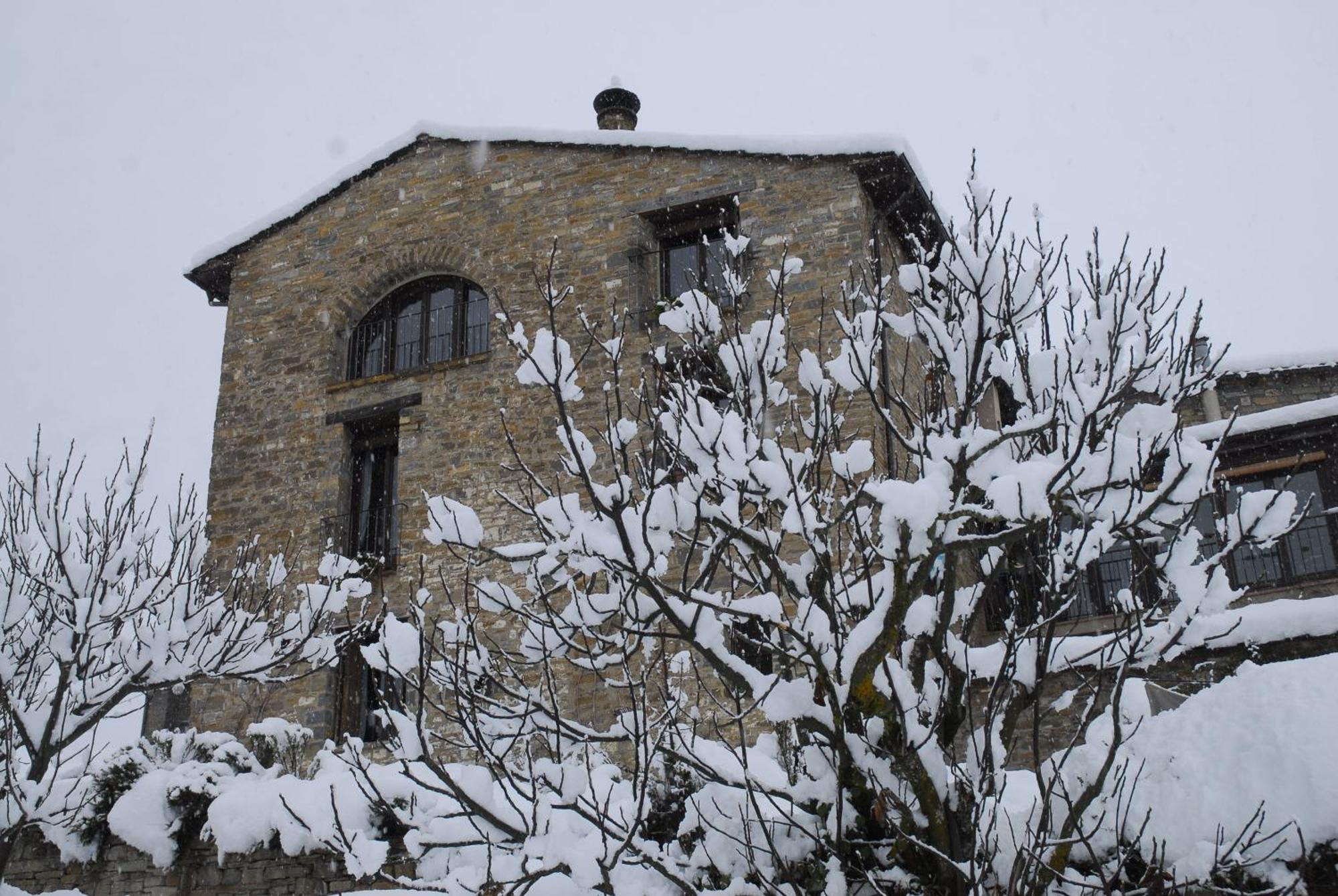 O Chardinet D'A Formiga Guest House Aínsa Екстериор снимка