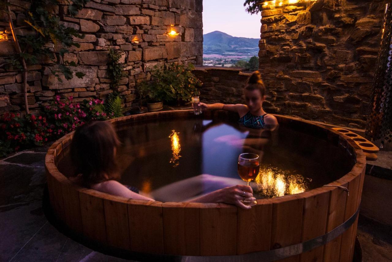 O Chardinet D'A Formiga Guest House Aínsa Екстериор снимка